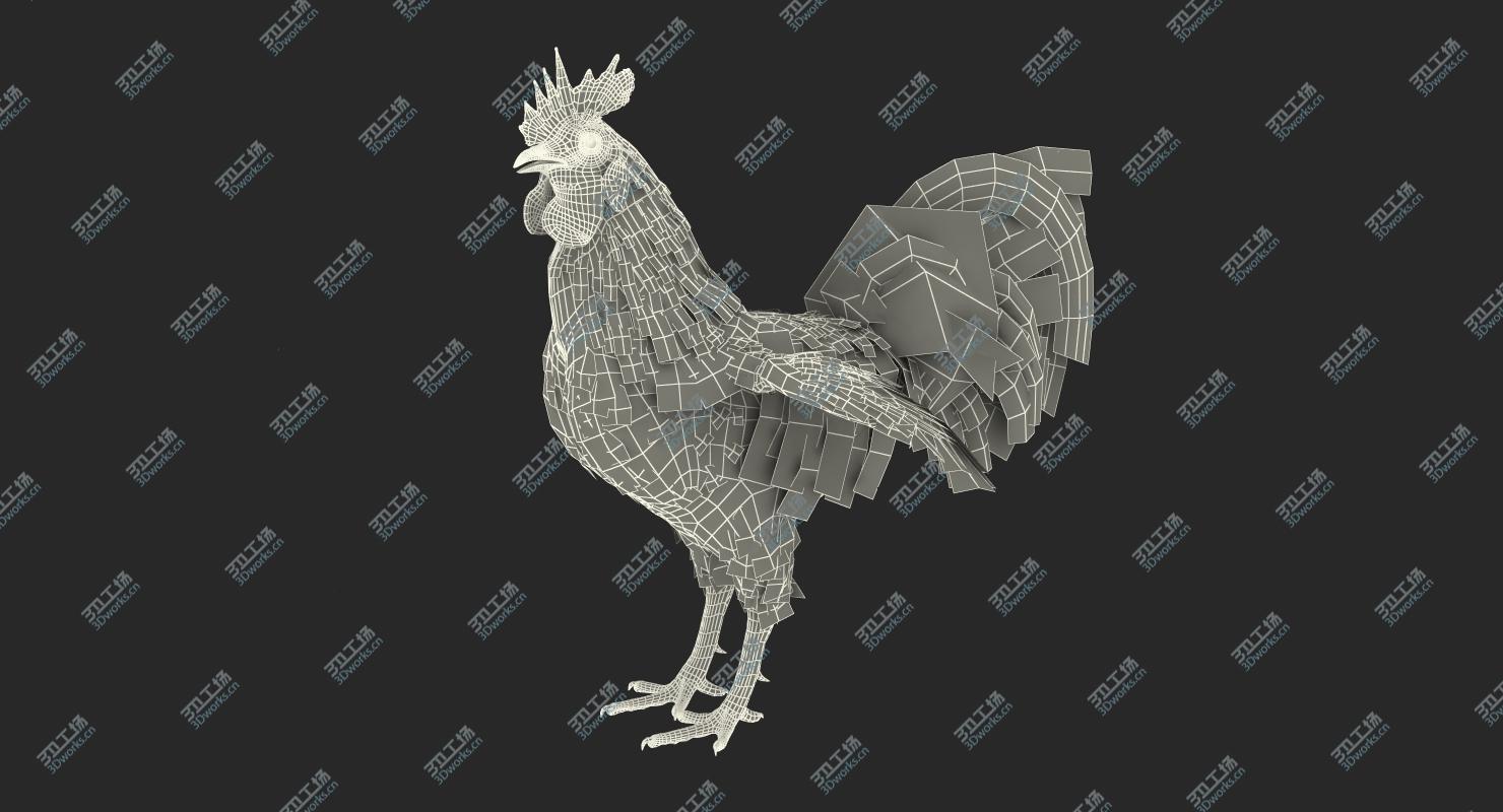 images/goods_img/202104094/Rooster Rigged for Cinema 4D/4.jpg
